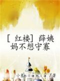 红楼梦薛姨妈人物关系