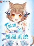 狐狸的超级系统小说
