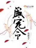 盛宠令夜惠美好看吗