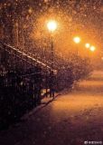 在暴雪时分小说全文免费
