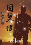 我启动了因果律 小说